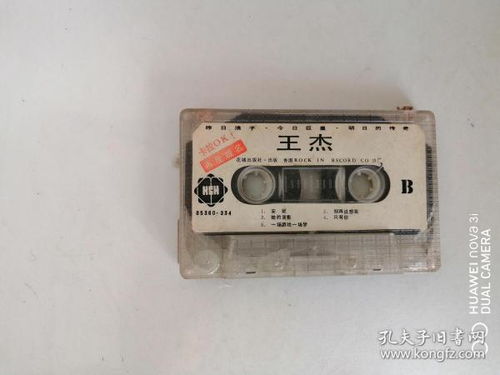 從唱片到網(wǎng)絡(luò)視聽 音像制品收藏與傳播的演變